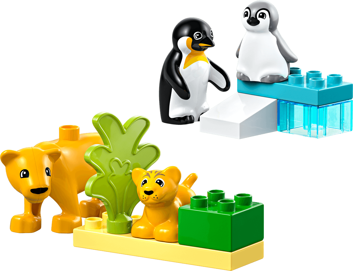 Wild Animal Families: Penguins & Lions