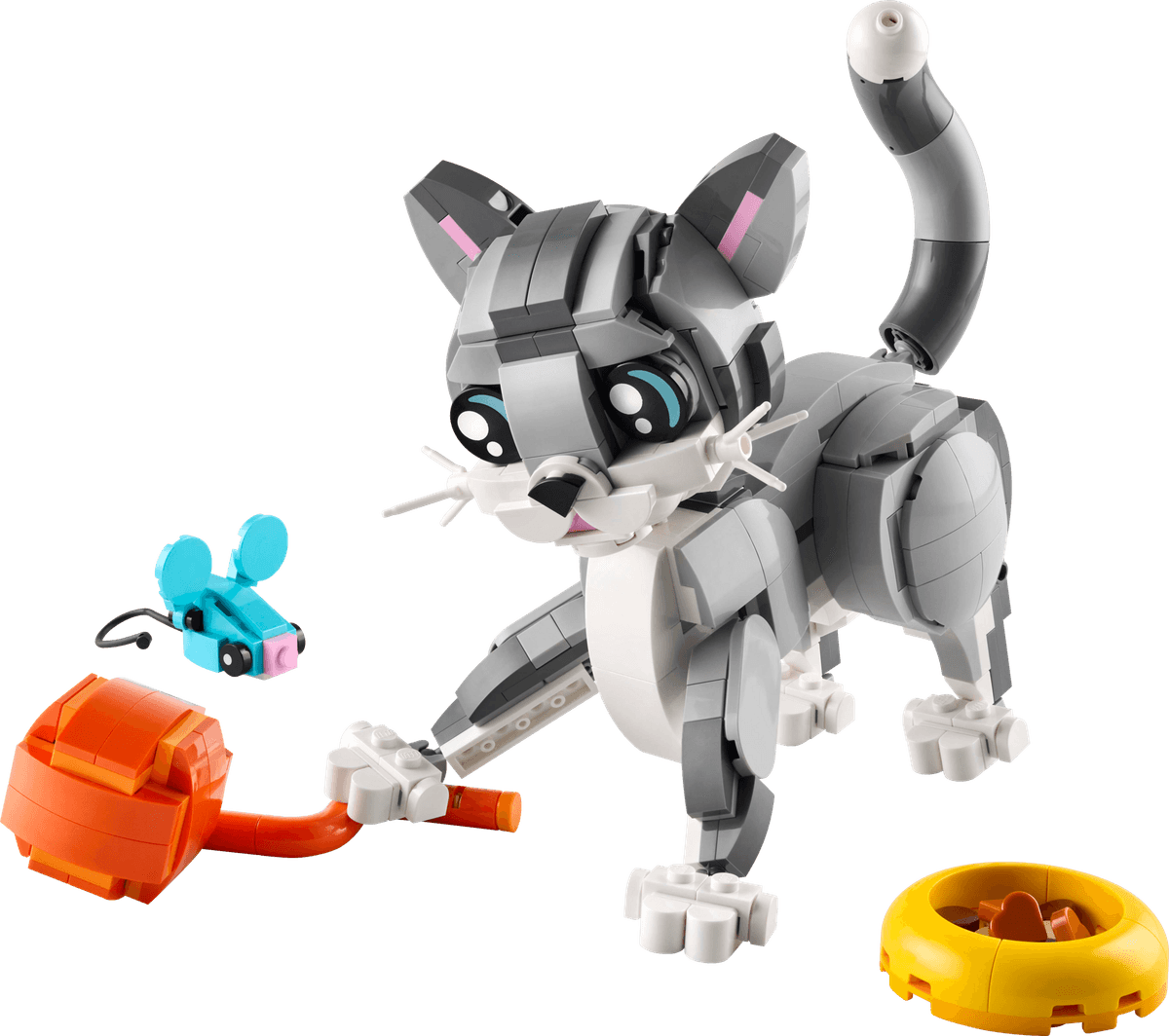 Playful Cat