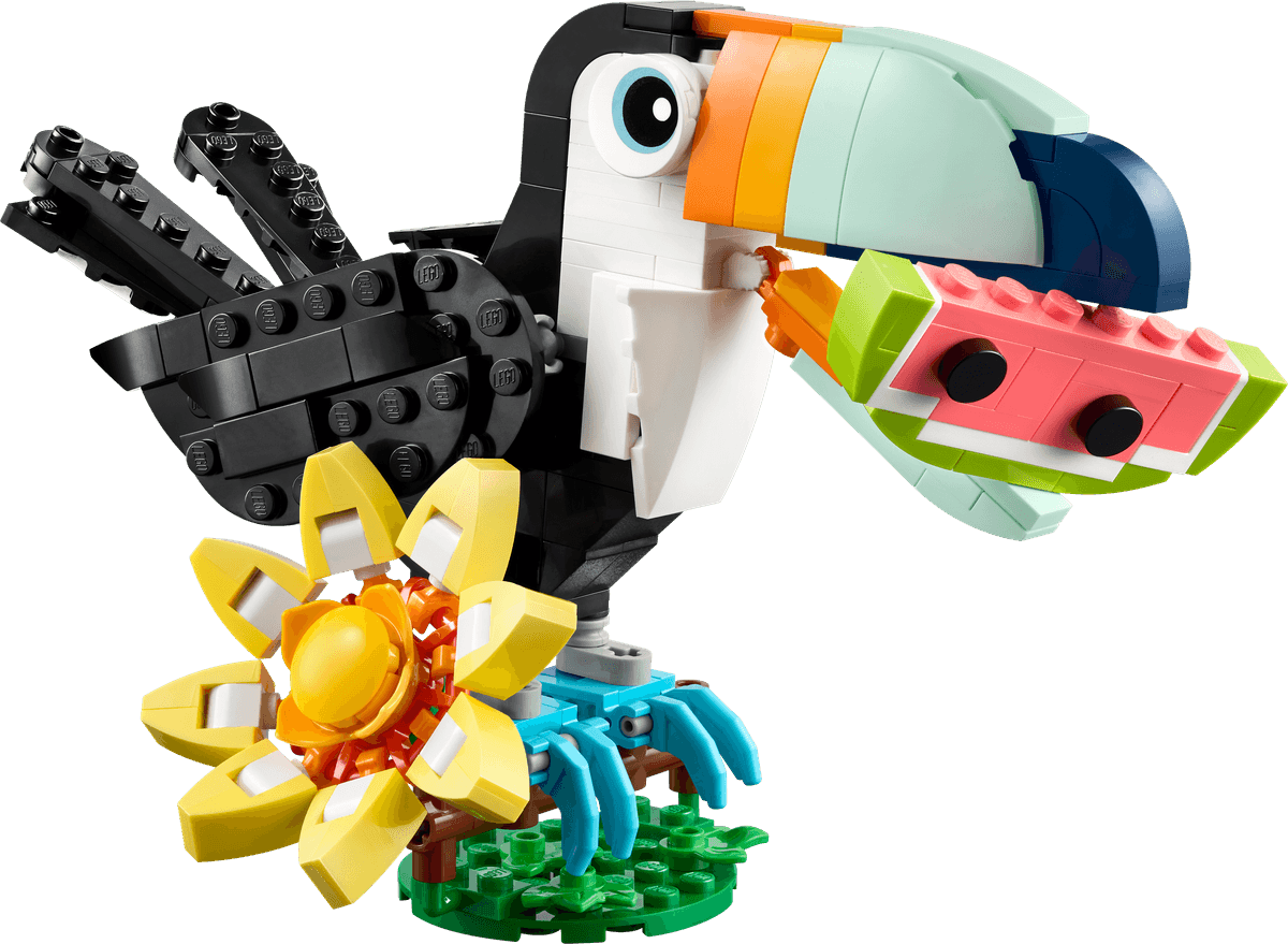 Wild Animals: Tropical Toucan