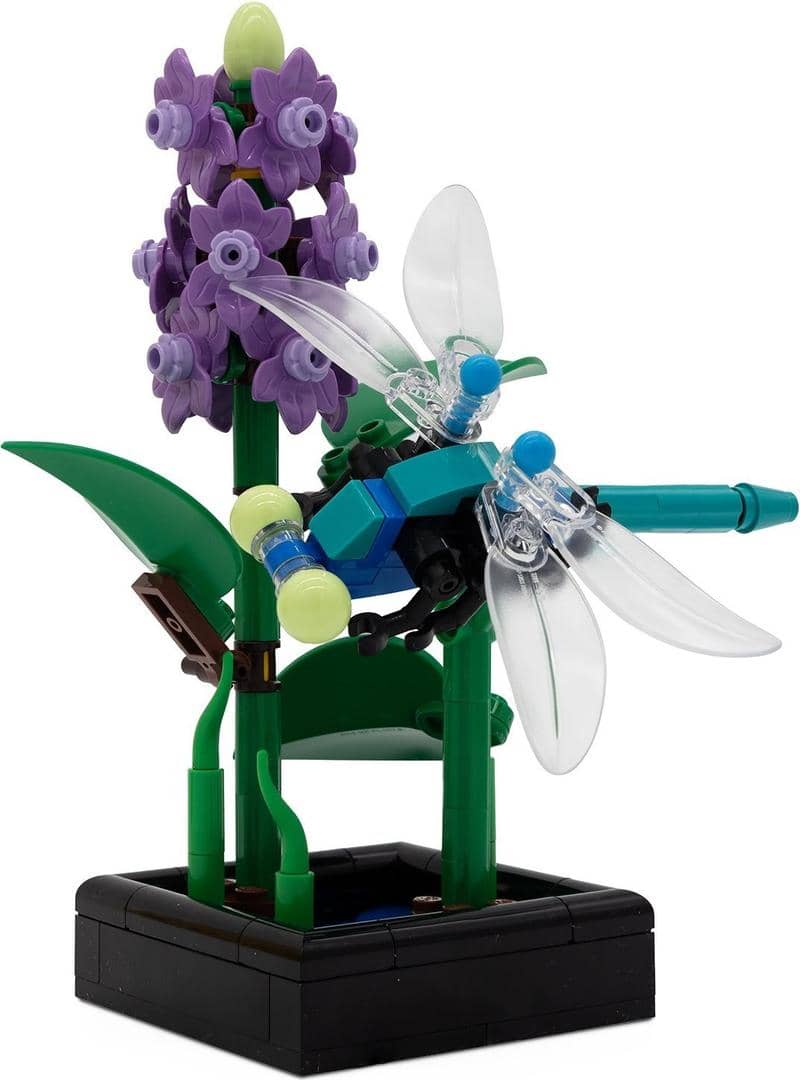 Dragonfly Garden