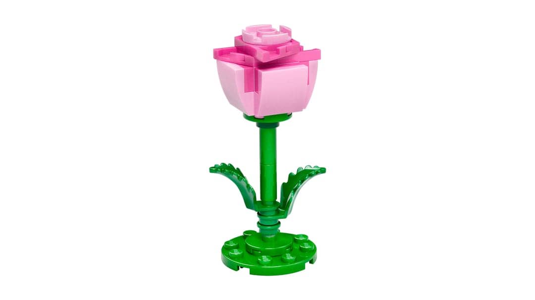 Micro Pink Rose
