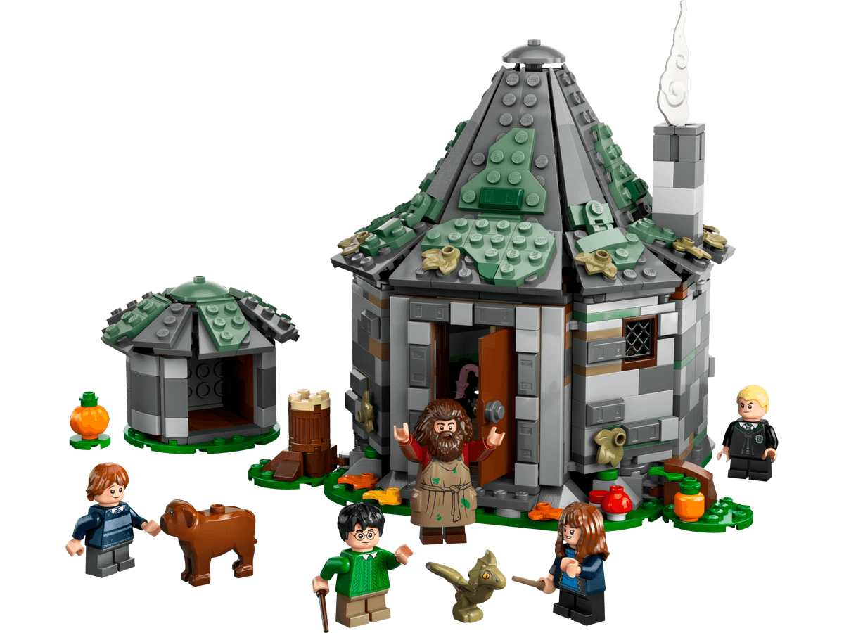 Hagrid's Hut: An Unexpected Visit