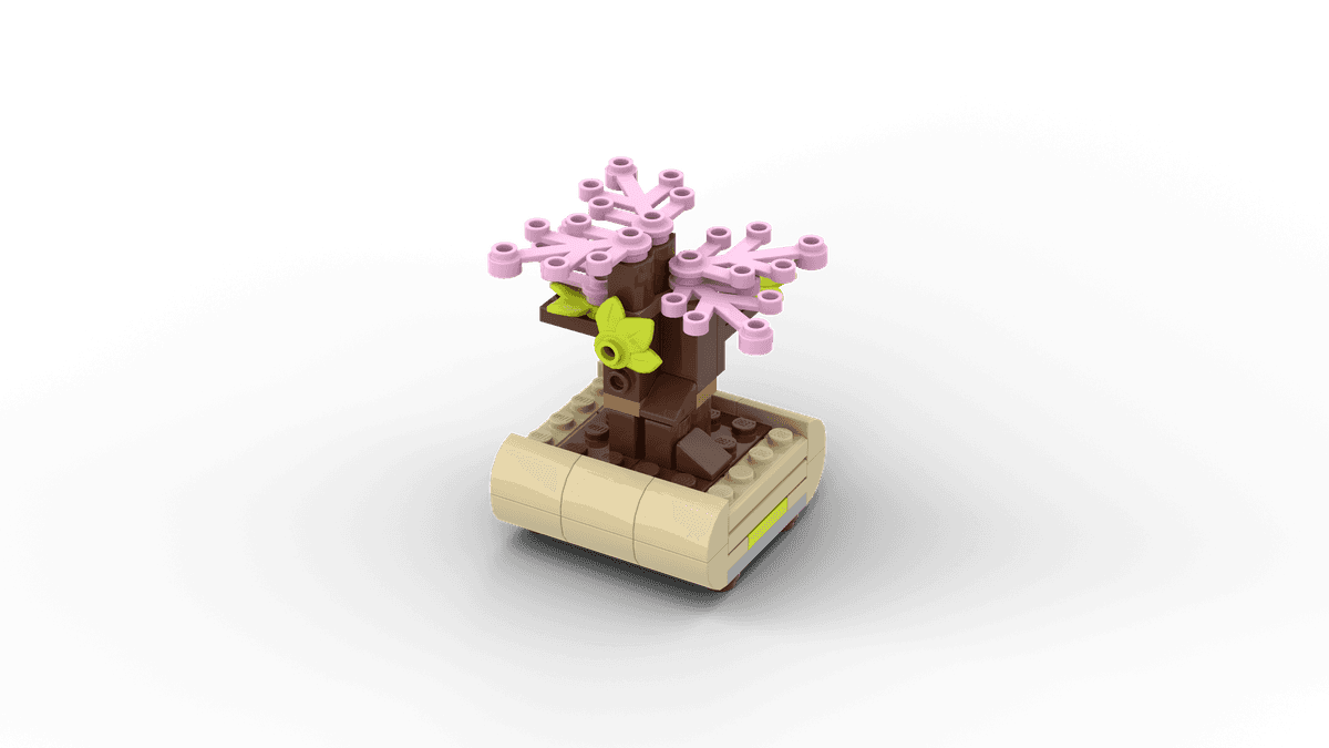 Lovely Bonsai Tree