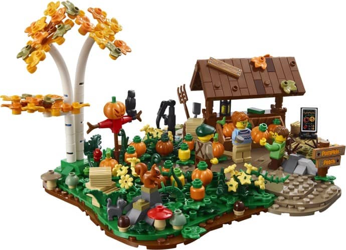 Pumpkin Patch