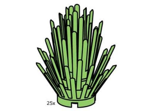 Bush