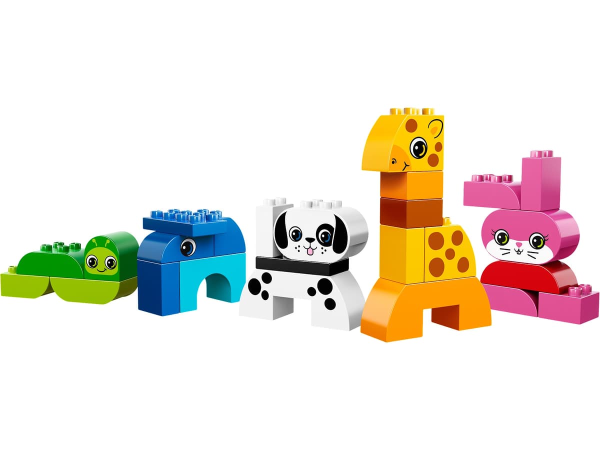 Creative Animals