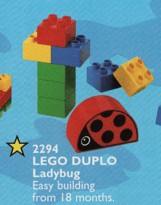 Ladybug