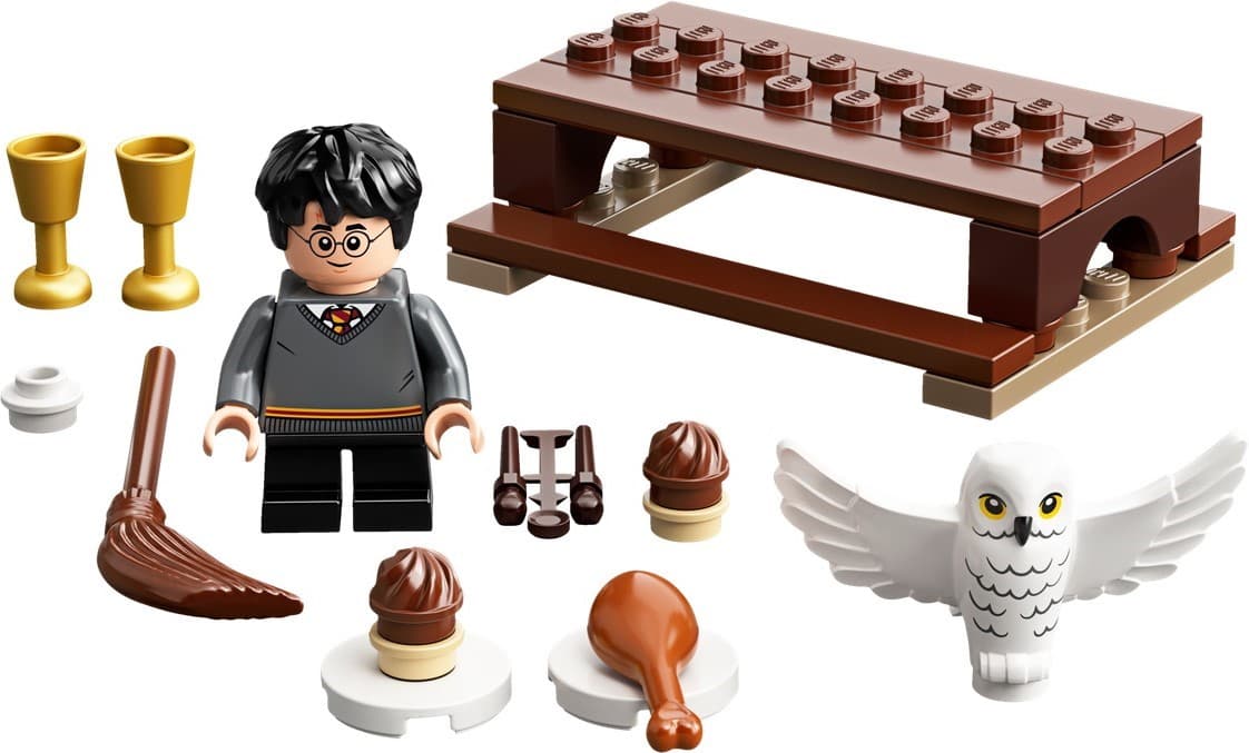 Harry Potter and Hedwig: Owl Delivery