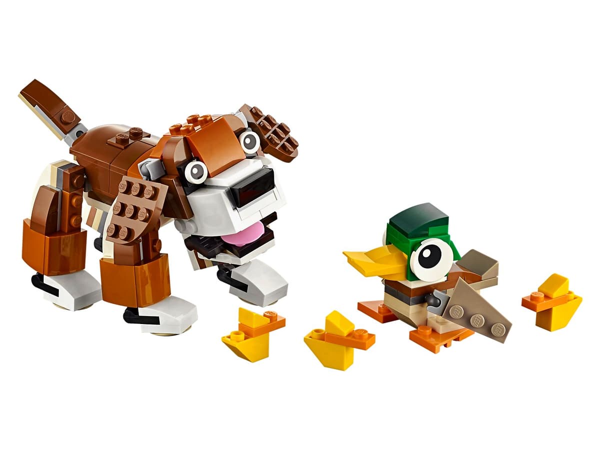 Park Animals