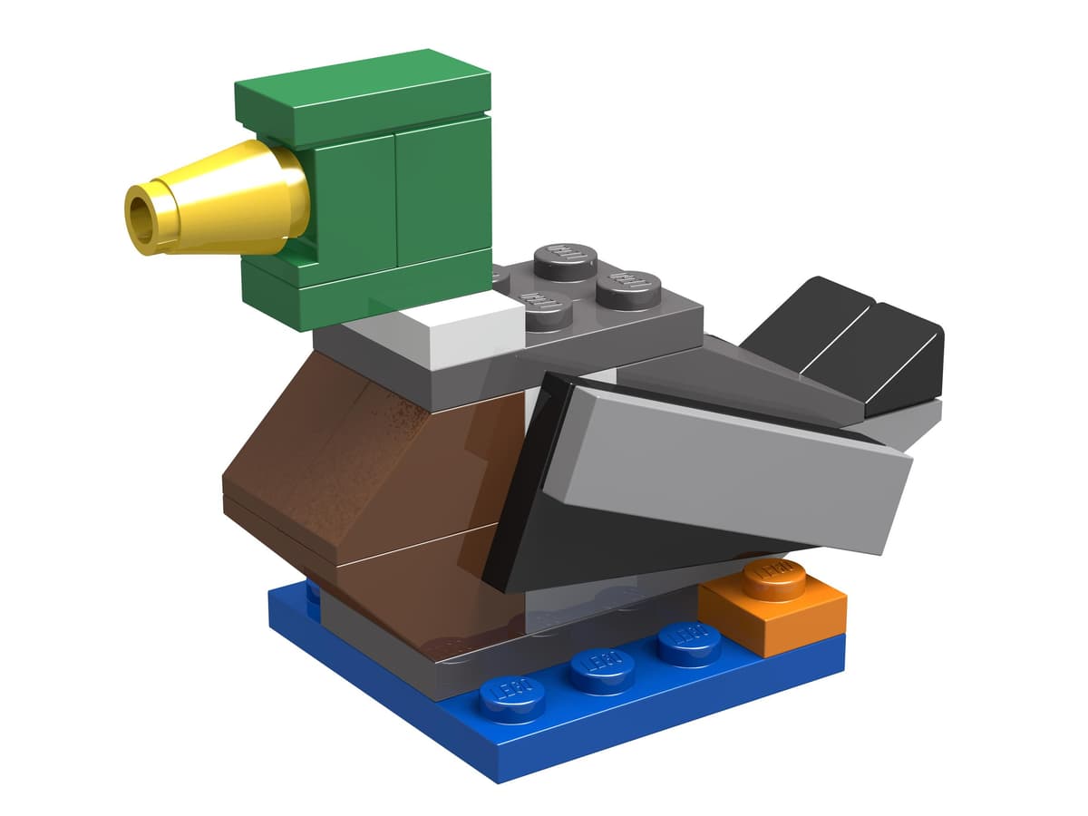 Duck