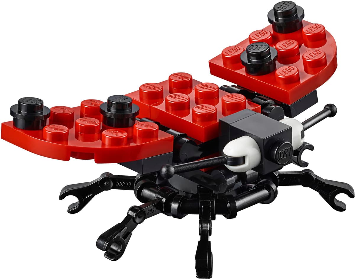 Ladybug