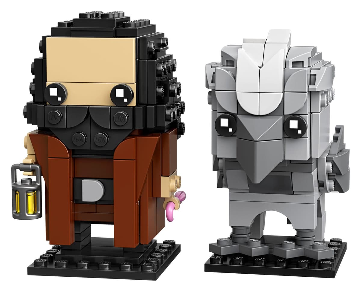 Hagrid & Buckbeak