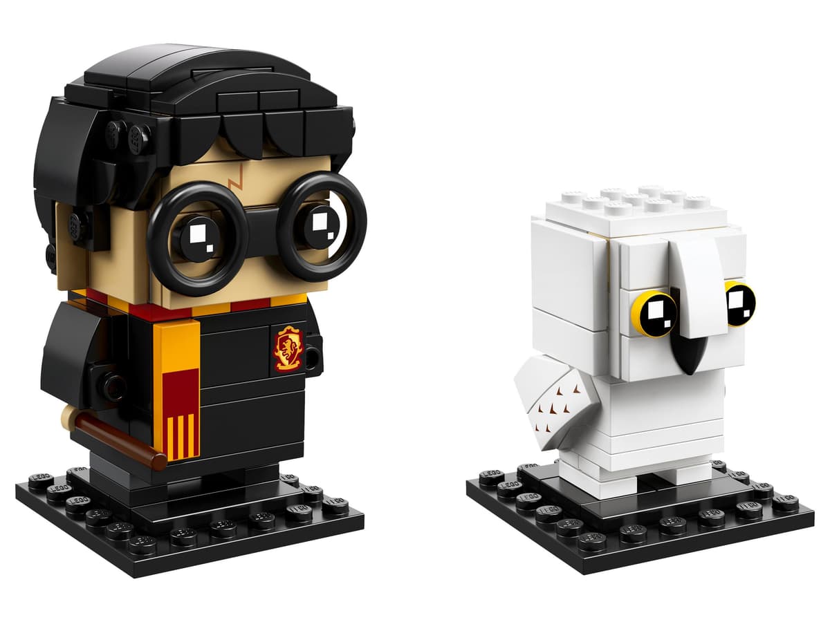 Harry Potter & Hedwig