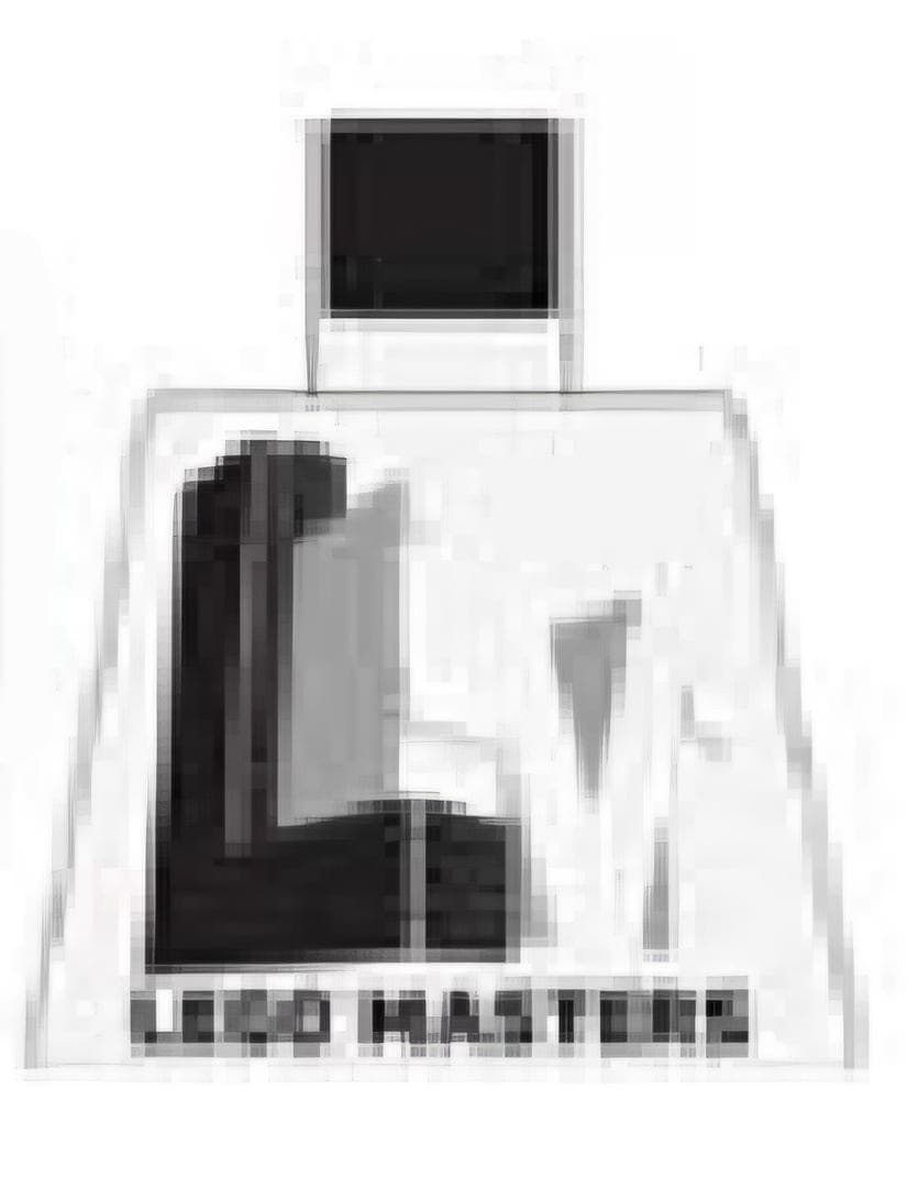 LEGO Masters Torso - Black and White
