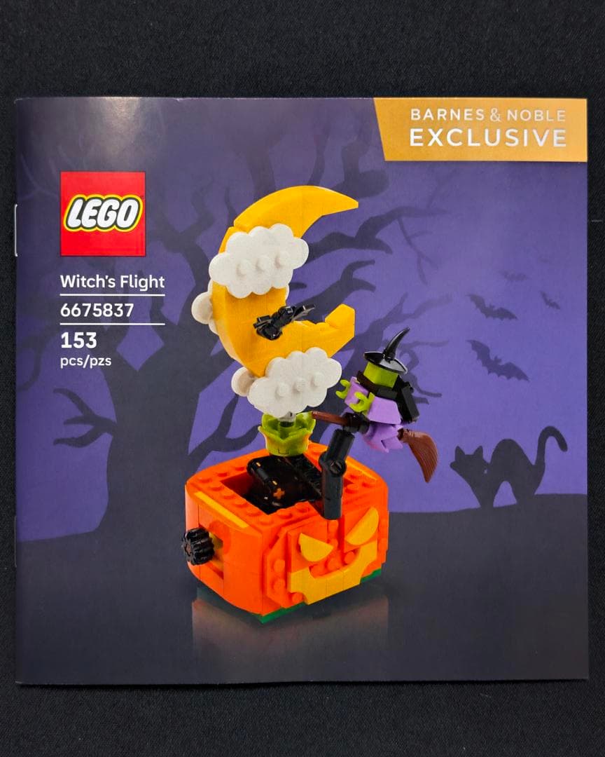 Witch's Flight