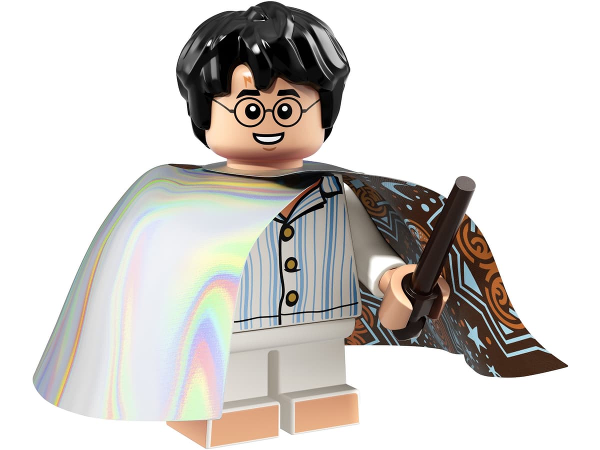 Harry Potter (Invisibility Cloak)