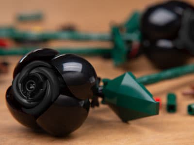 2x Black Roses